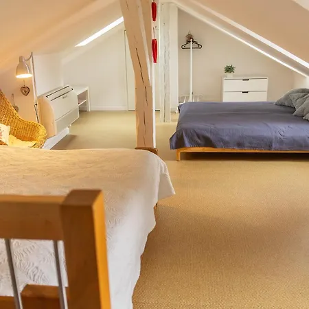 City Center Duplex Loft Colmar Extérieur photo